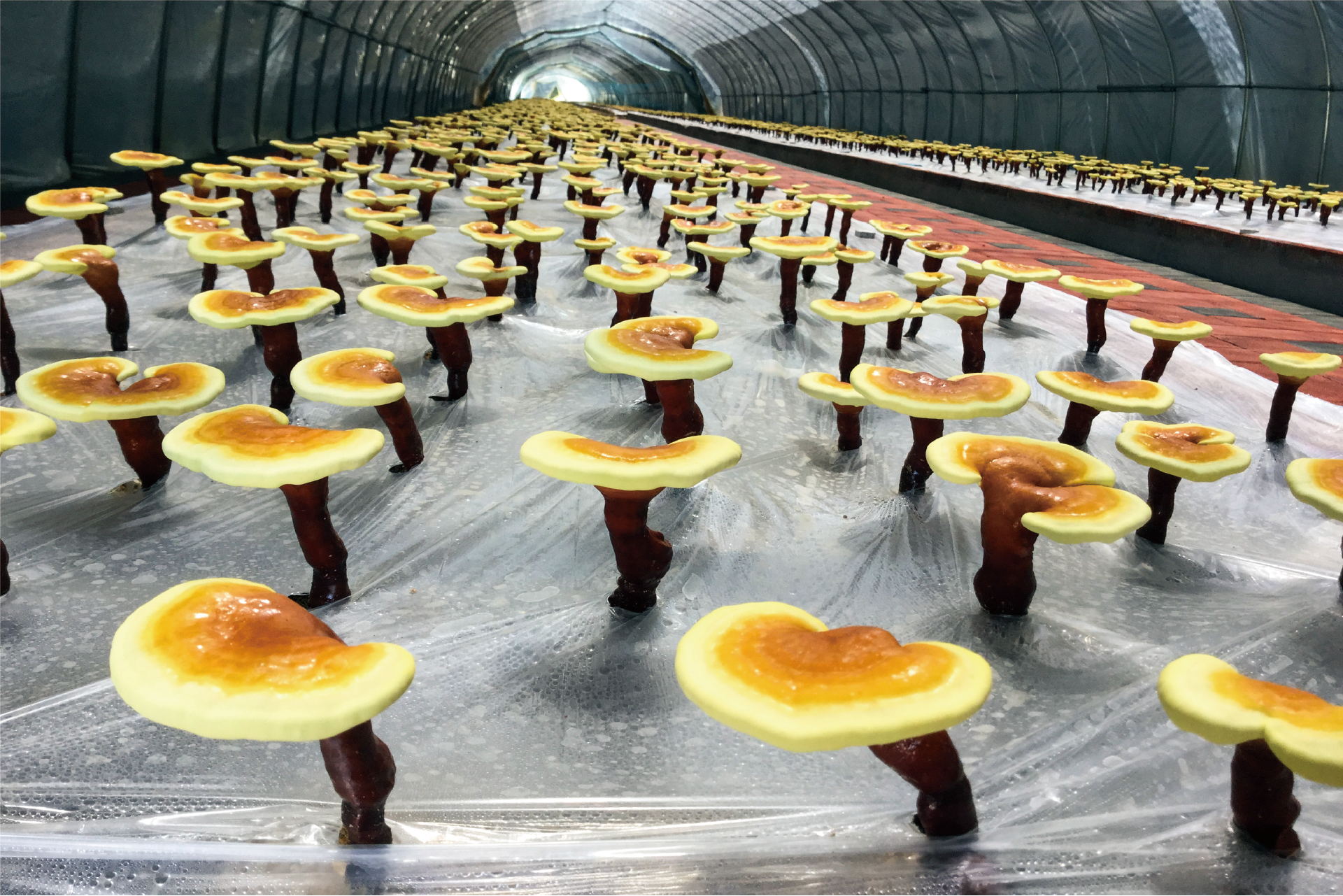 資源 5-100_看圖王.jpg